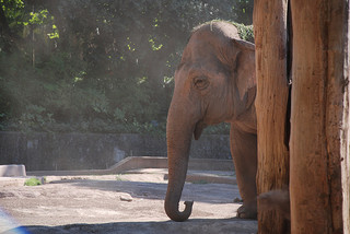 Bioparco