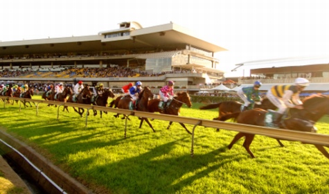 Rosehill